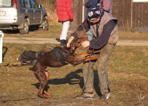 The christmas training 27.12.2006